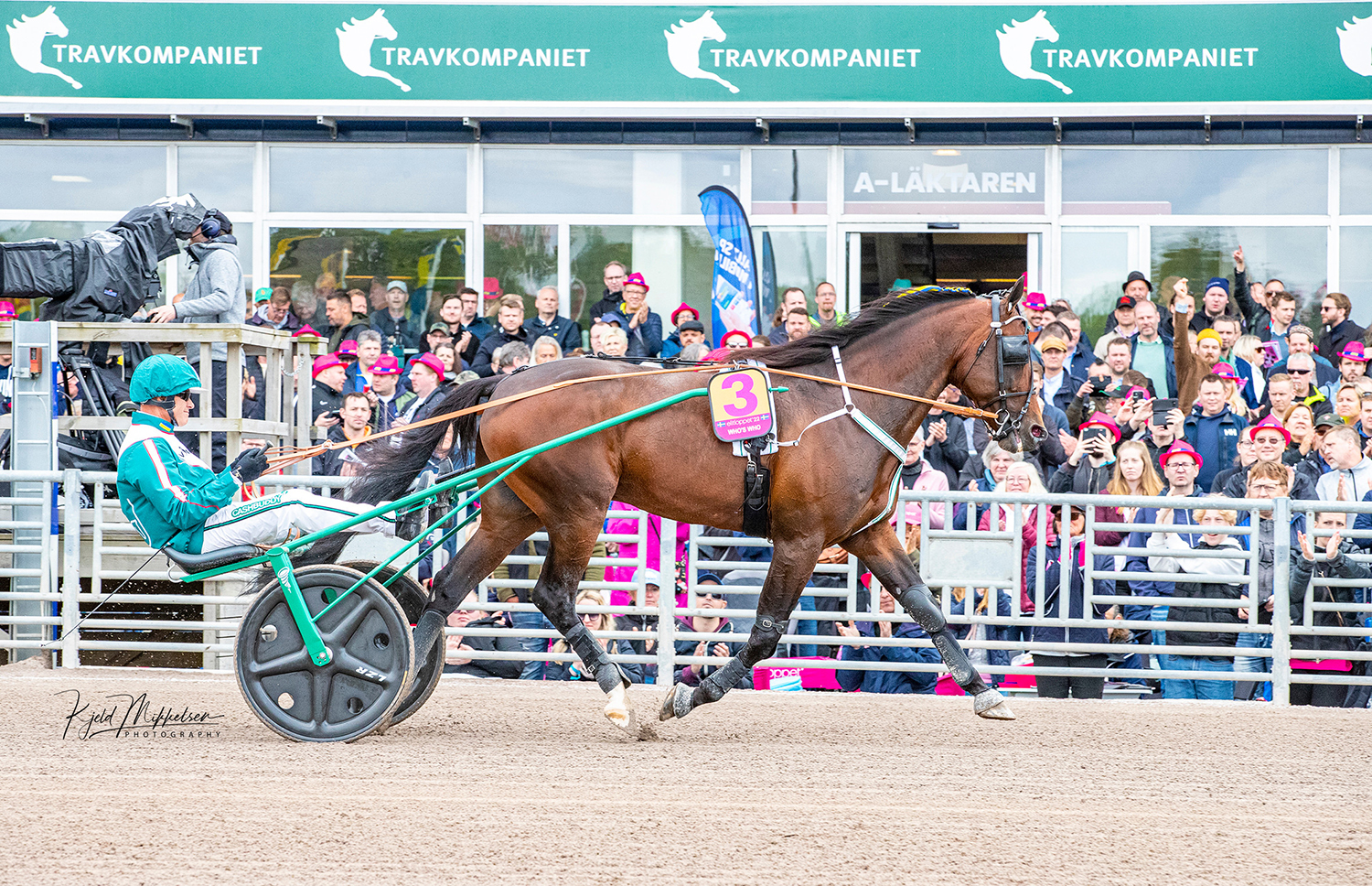 Who's Who med Åke Svanstedt i defileringen till Elitloppsförsök vilket blev hästens sista lopp. Foto: Kjeld Mikkelsen